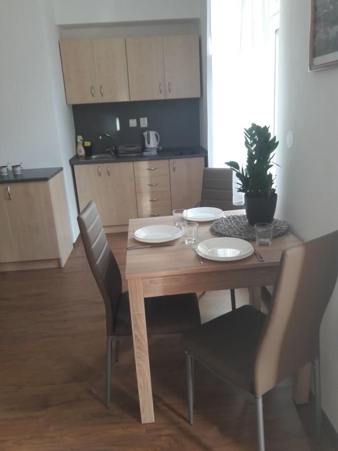 Apartmany Lipa 塔博尔 外观 照片