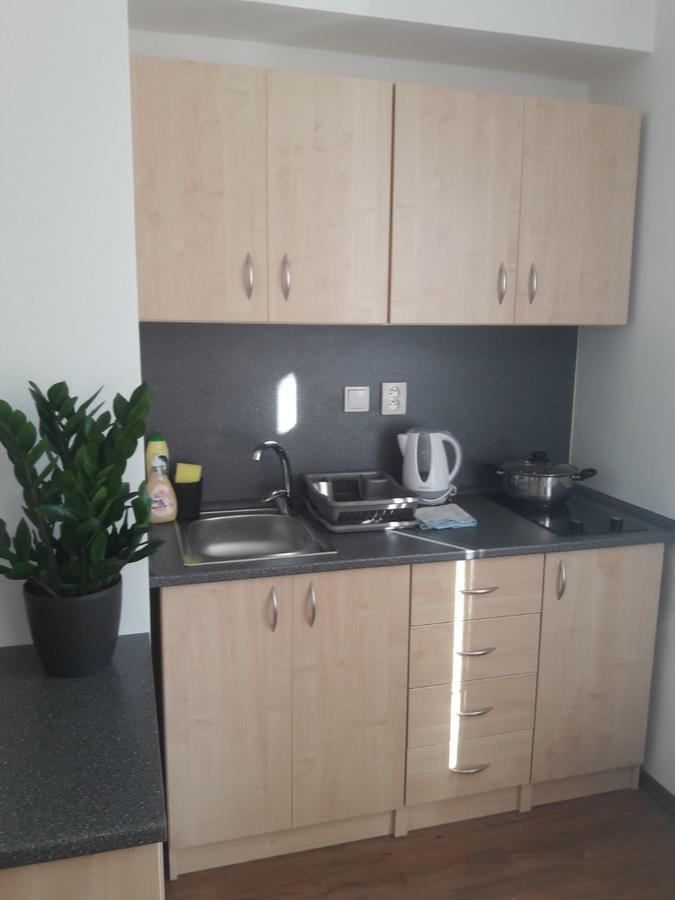 Apartmany Lipa 塔博尔 外观 照片