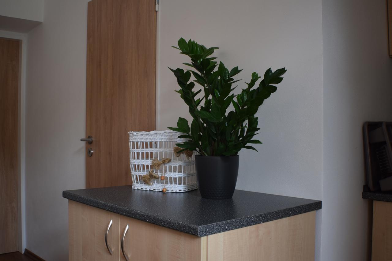 Apartmany Lipa 塔博尔 外观 照片